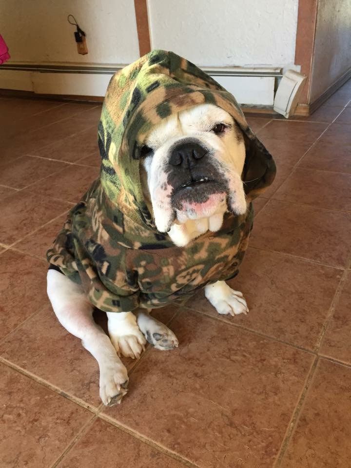 Winston